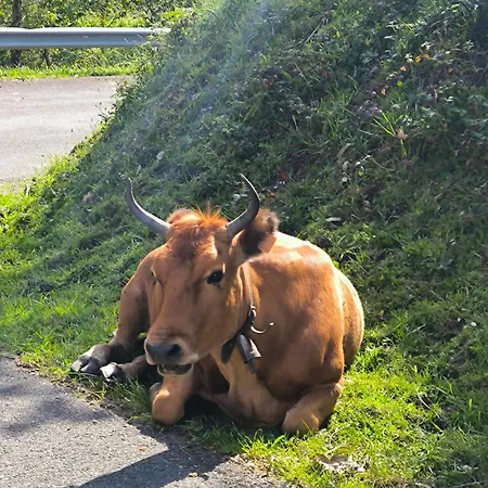 Casa Granxias Ferienhaus