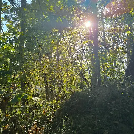 Casa Granxias Casa vacanze *